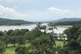 Monkey Island - Gatun Lake Adventure W/ Gourmet Buffet Lunch